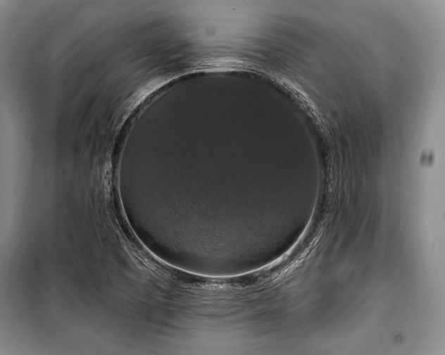 X0000101141457200806270908