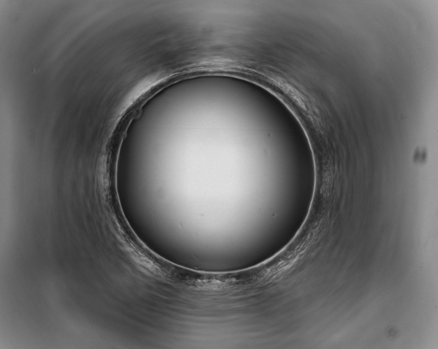 X0000101141458200806270908