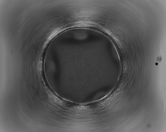 X0000101141459200806270908