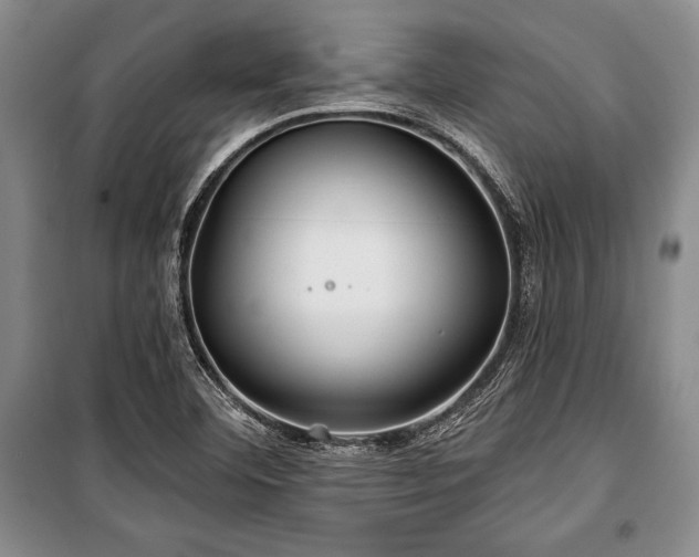 X0000101141460200806270908