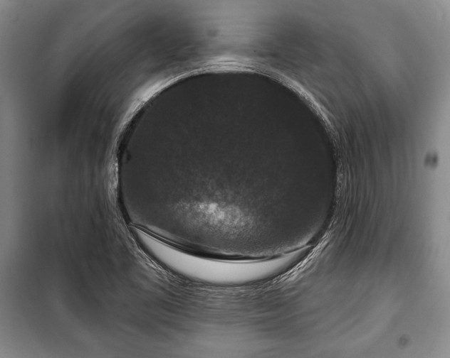 X0000101141461200806270908