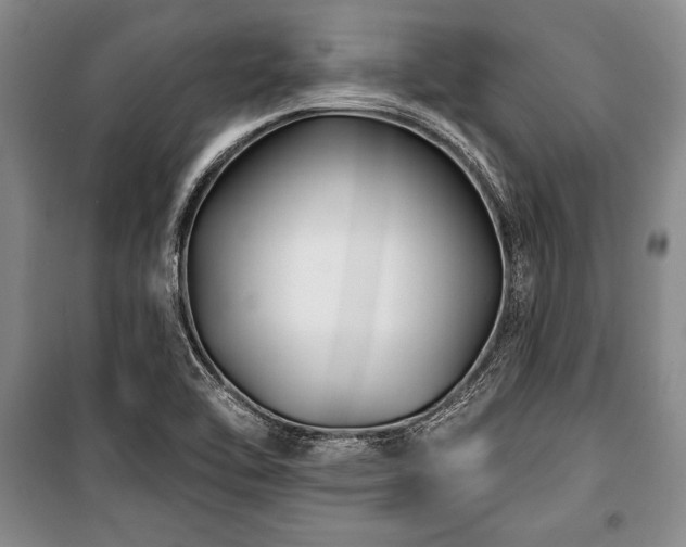 X0000101141462200806270908