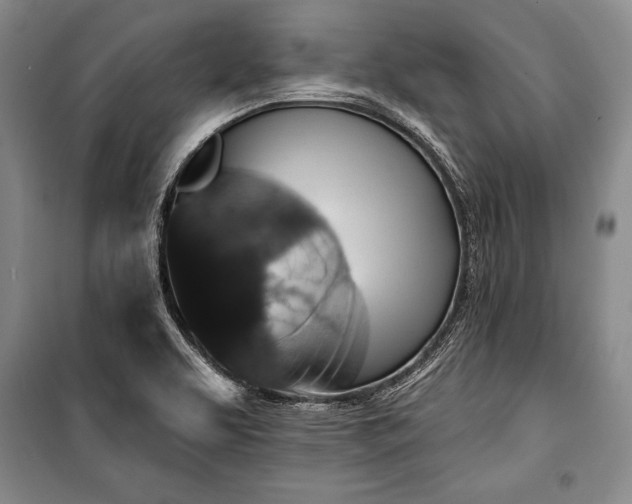 X0000101141463200806270908