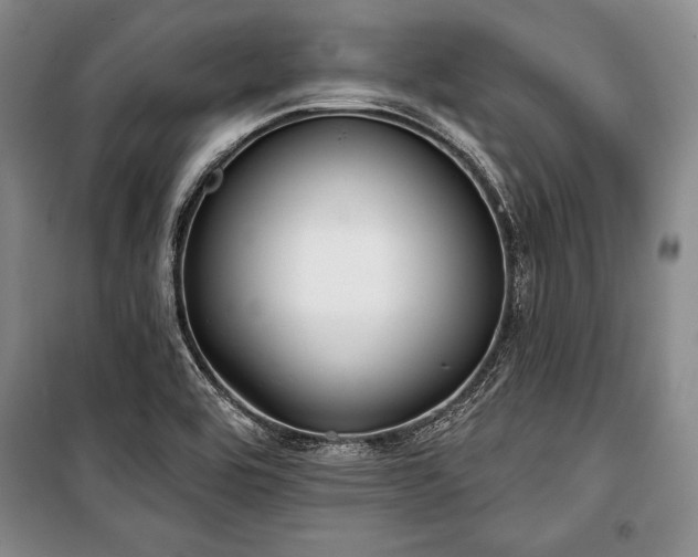 X0000101141464200806270908