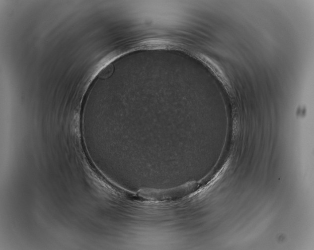 X0000101141465200806270908