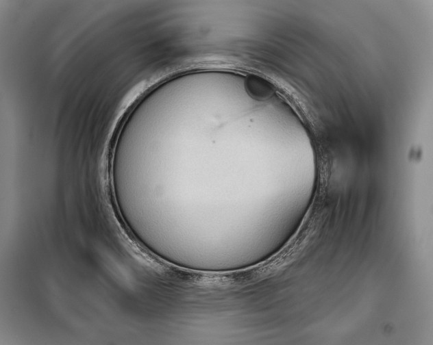 X0000101141466200806270908