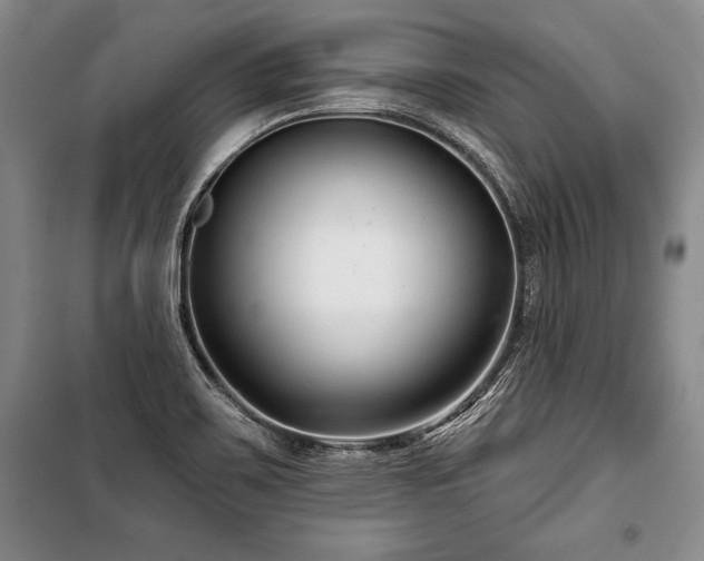 X0000101141467200806270908