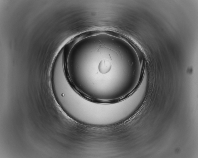 X0000101141468200806270908