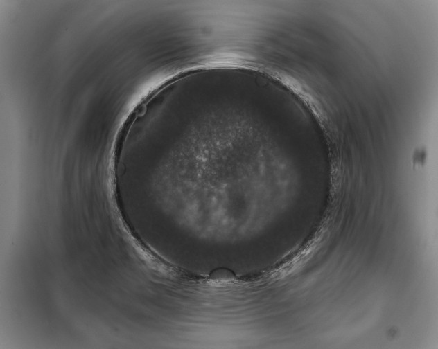 X0000101141469200806270908