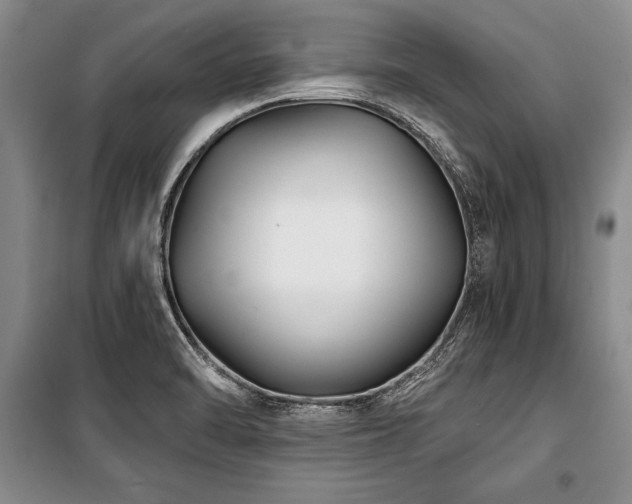 X0000101141470200806270908