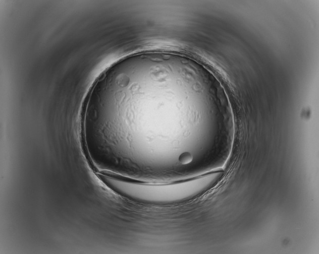 X0000101141471200806270908