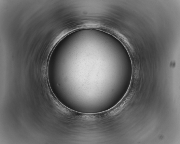 X0000101141473200806270908