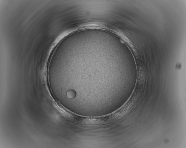 X0000101141474200806270908