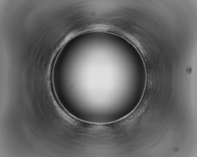 X0000101141475200806270908