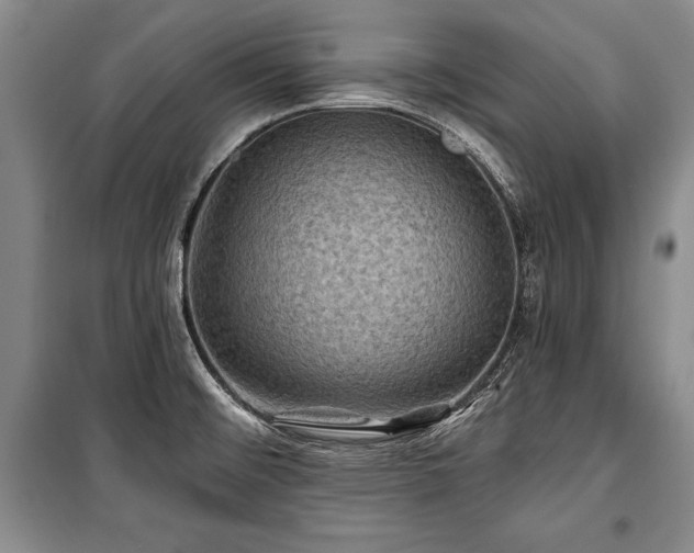 X0000101141476200806270908