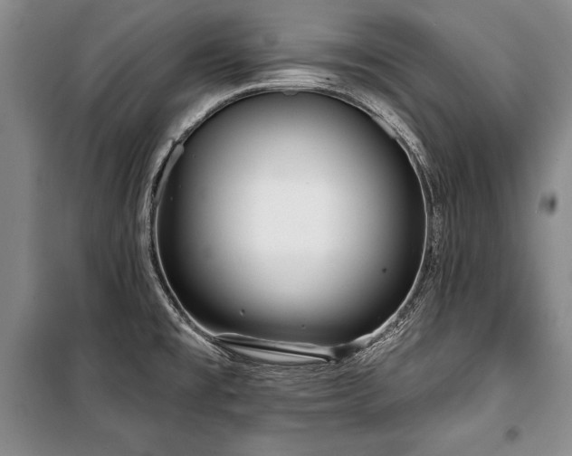 X0000101141477200806270908