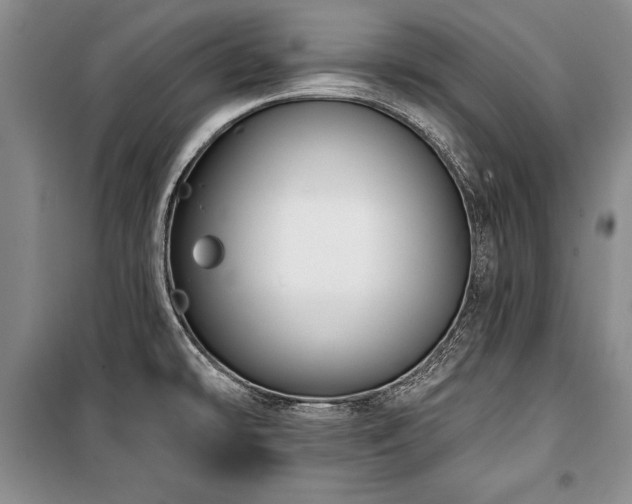 X0000101141478200806270908