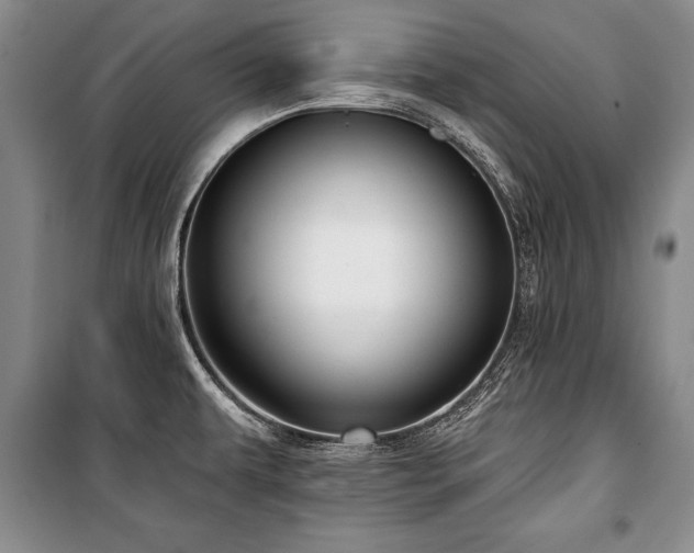 X0000101141479200806270908