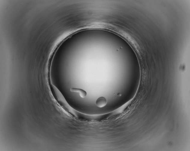 X0000101141480200806270908