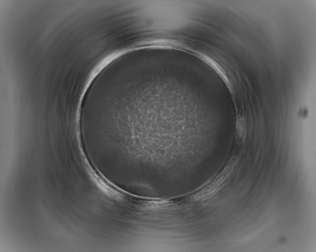 X0000101141482200806270908