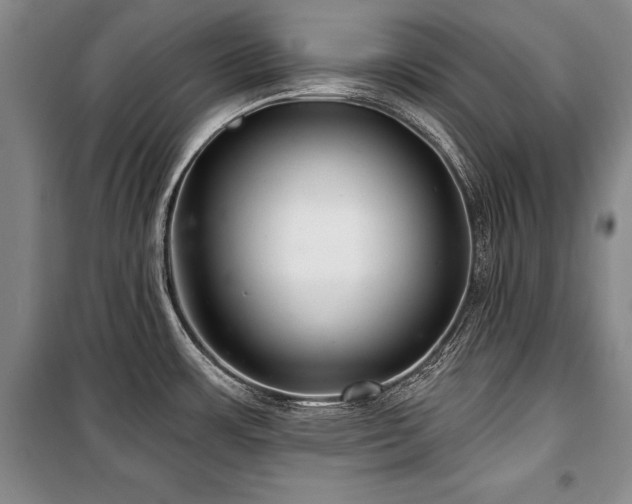 X0000101141483200806270908