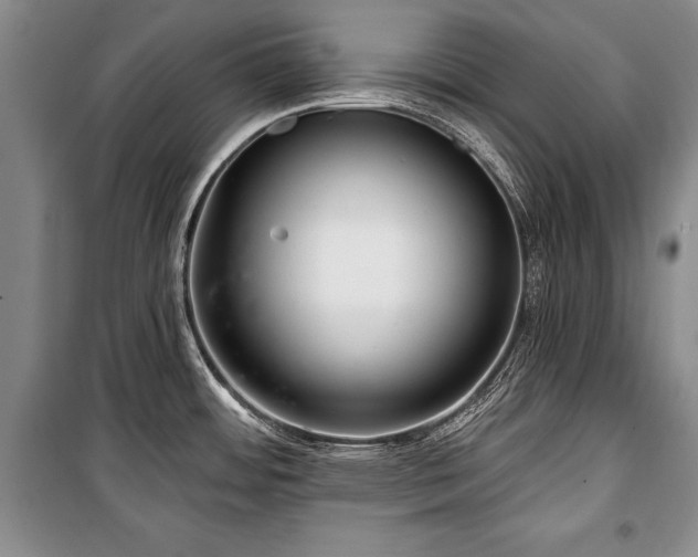 X0000101141484200806270908