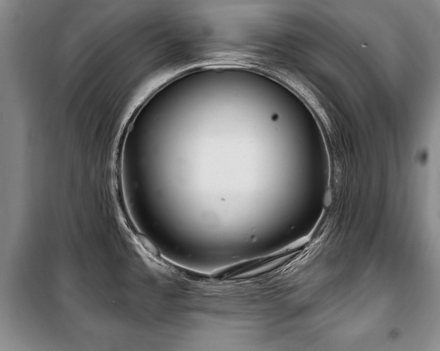 X0000101141485200806270908