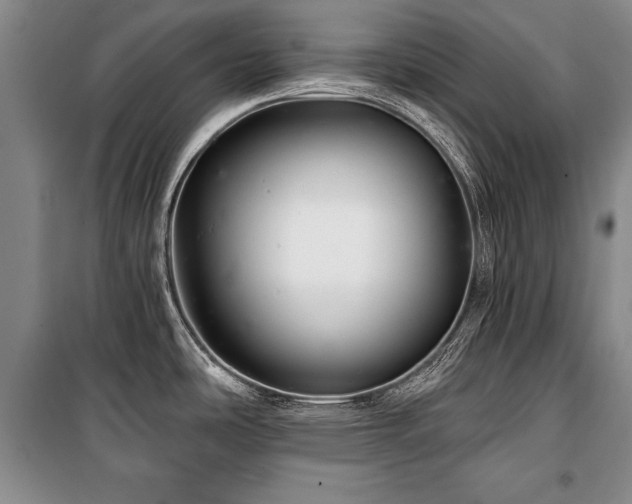 X0000101141486200806270908