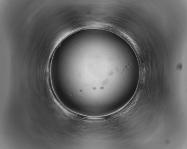 X0000101141487200806270908