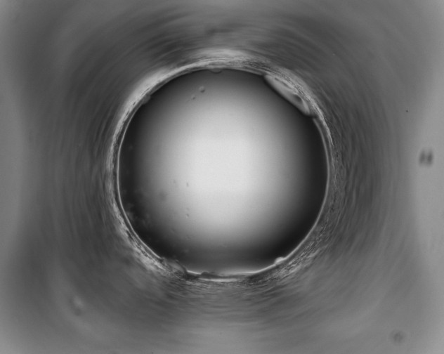 X0000101141488200806270908