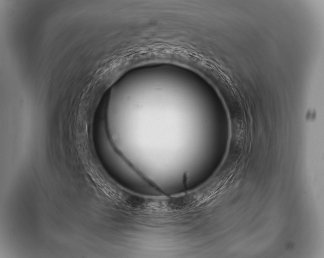 X0000101141489200806270907