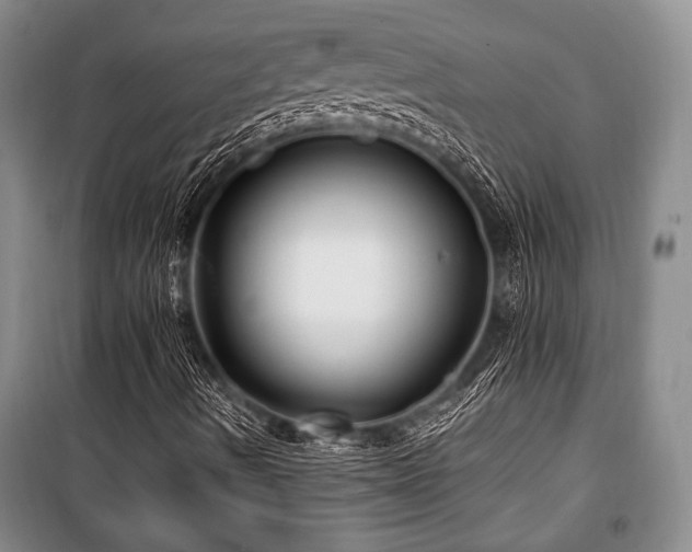 X0000101141490200806270907