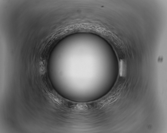 X0000101141491200806270907