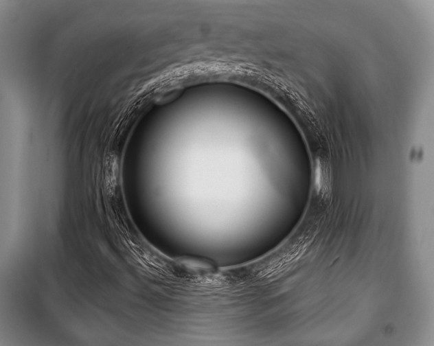 X0000101141492200806270907