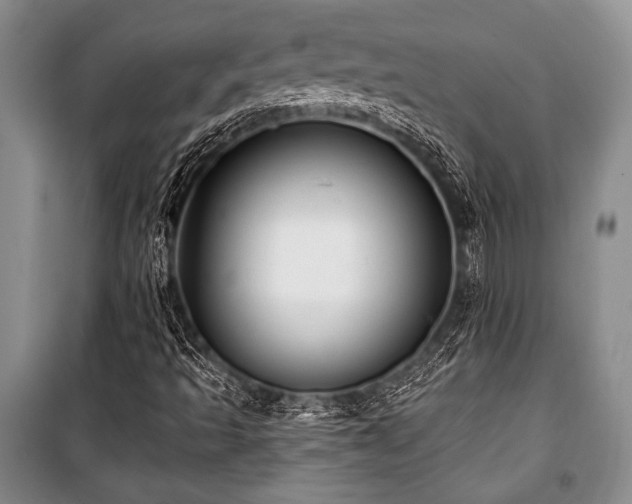 X0000101141493200806270907