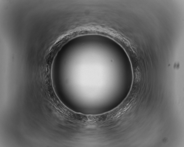 X0000101141494200806270907