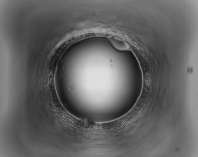 X0000101141495200806270907