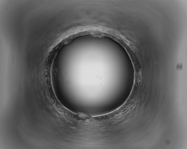 X0000101141496200806270907