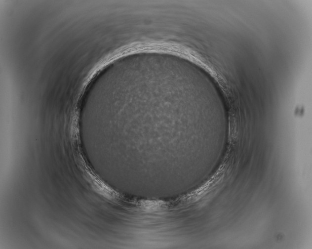 X0000101141498200806270907