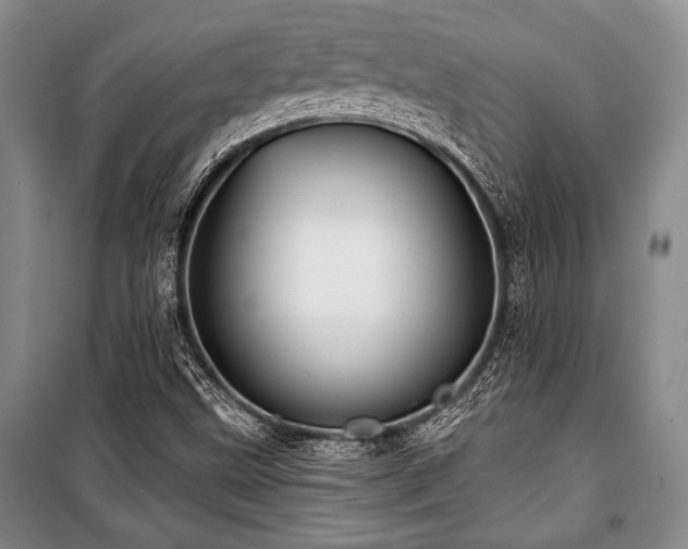 X0000101141499200806270907