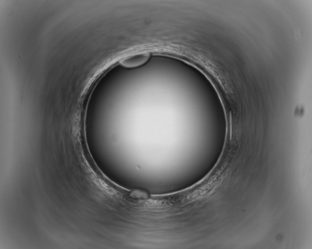 X0000101141500200806270907