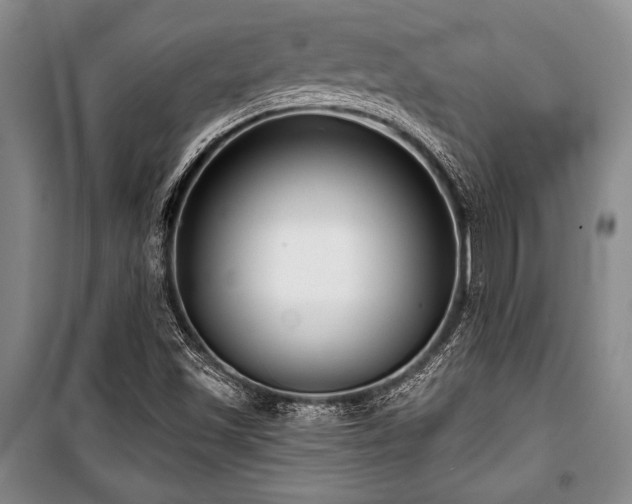 X0000101141501200806270907