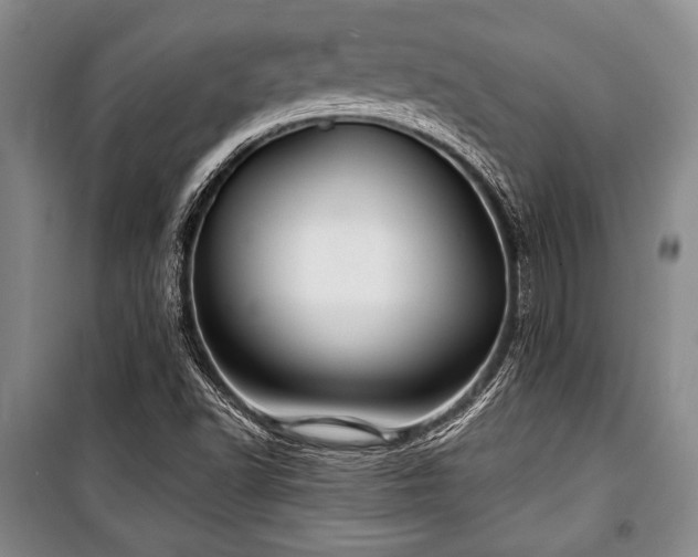 X0000101141502200806270907