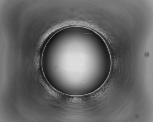 X0000101141503200806270907