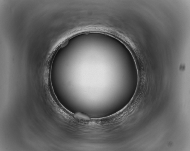 X0000101141504200806270907