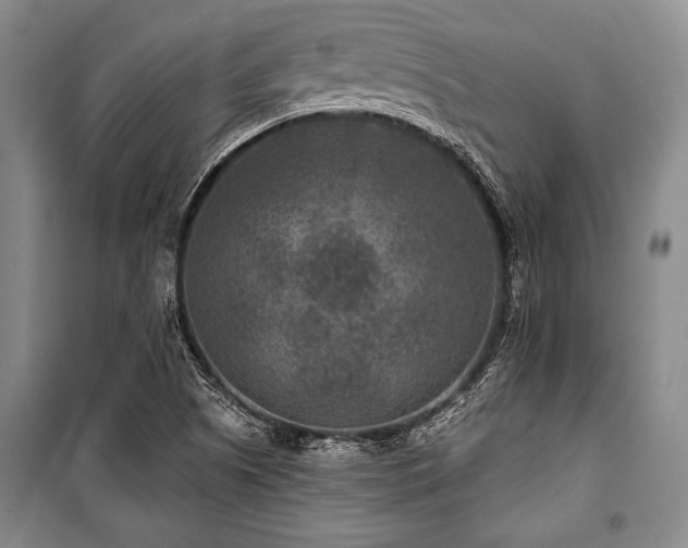 X0000101141505200806270907