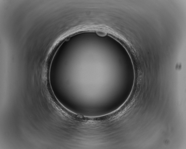 X0000101141506200806270907