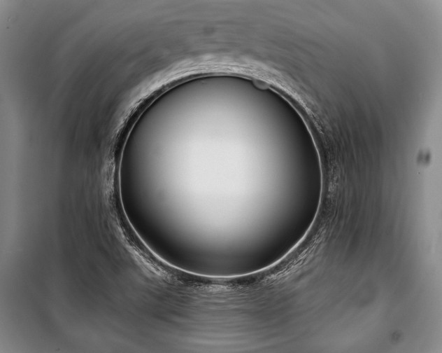 X0000101141507200806270907