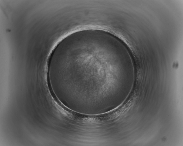 X0000101141508200806270907