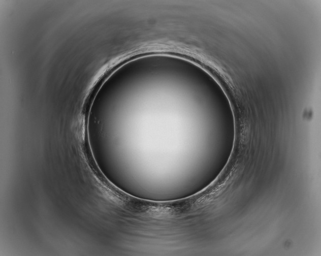 X0000101141509200806270907